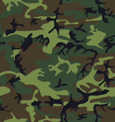 PATTERNS OF CAMOUFLAGE | Browse Patterns